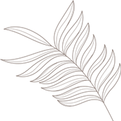 demo-spa-salon-bg-img-02.png