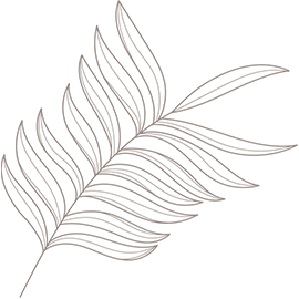 demo-spa-salon-bg-img-03.png